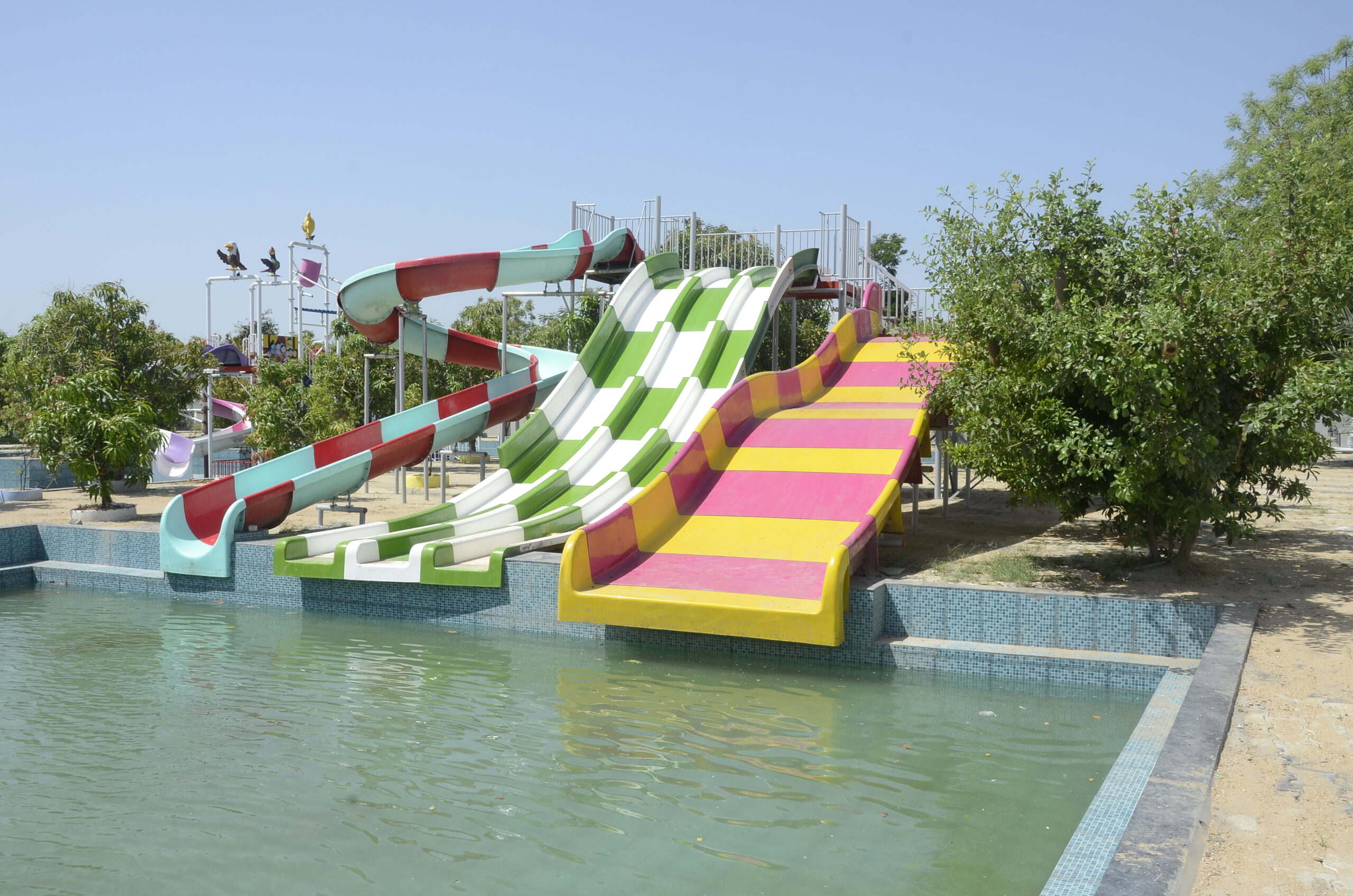 swimming pool of Mango Tree Resort - Family Resort in Gujarat